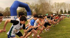 2° Prova Molinella Domenica 25 Marzo 2° Prova Molinella Domenica 25 Marzo