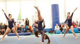 Corso per istruttore e aspirante istruttore di ginnastica artistica