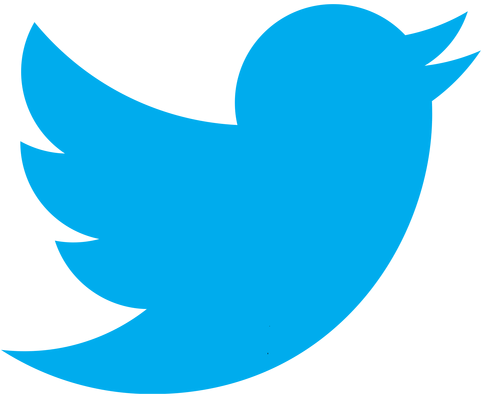 LOGO TWITTER