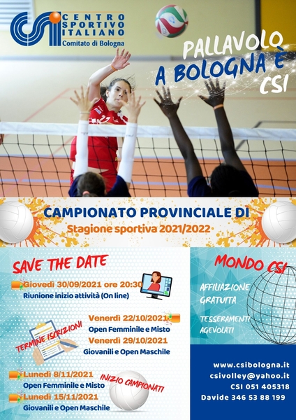 VOLANTINO PALLAVOLO