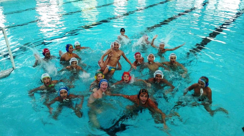 President Bologna la pallanuoto bolognese ha grandi ambizioni 1