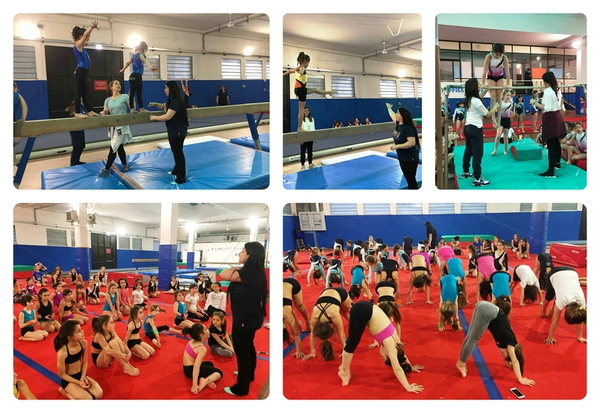 palAngela aggiornamento giudici collage