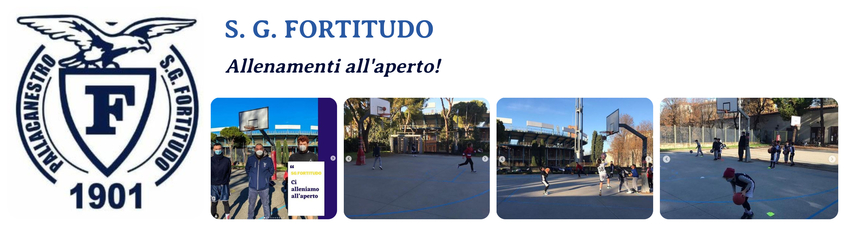 sg fortitudo collage