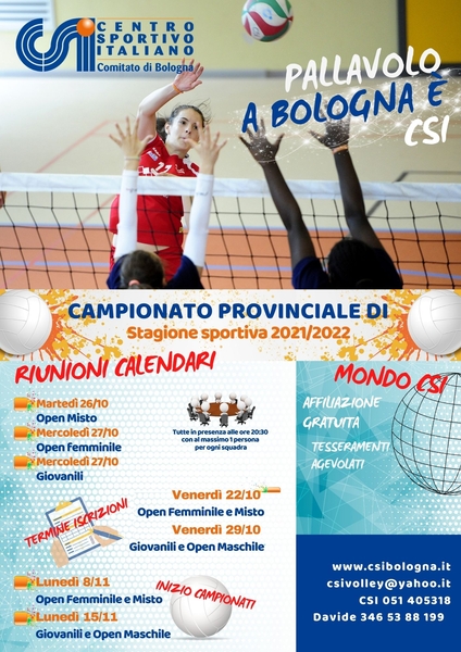 VOLANTINO PALLAVOLO