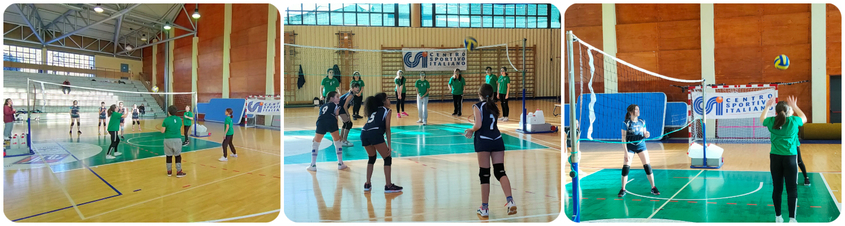 Torneo di carnevale per le under 12 di Energym e Altoreno 1