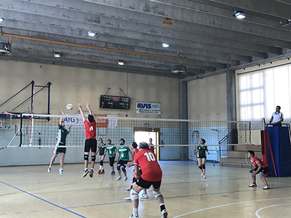 finali pallavolo 16 17 2