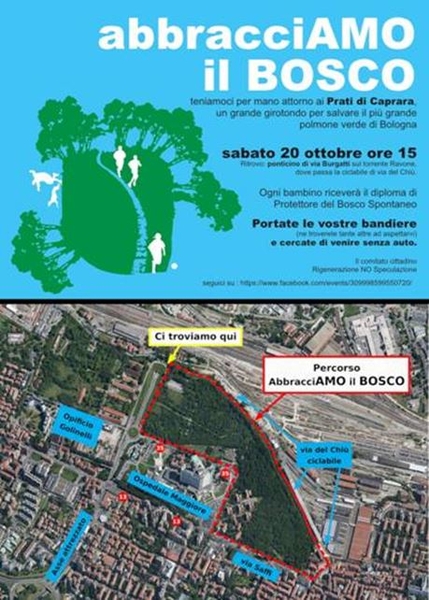 abbracciamo il bosco