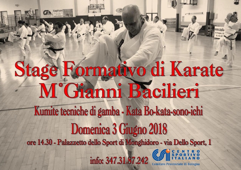 Stage di karate del MBacilieri Gianni