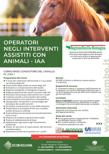 volantino COADIUTORE DEL CAVALLO