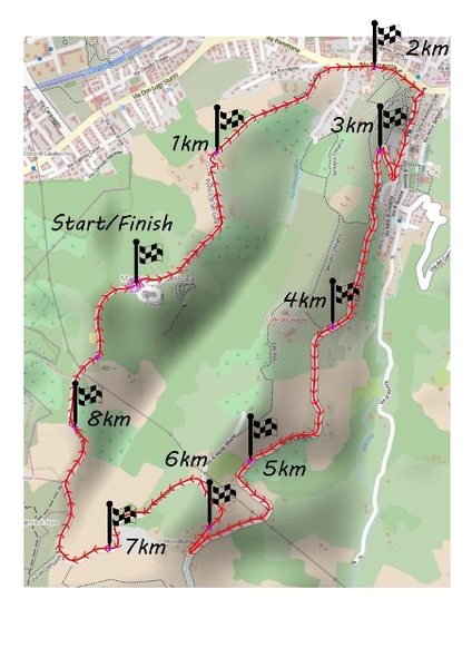 Camminata di San Luca 41 edizione 3