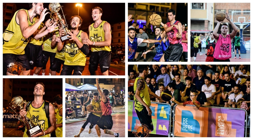 not in my house piazza 8 agosto collage 3