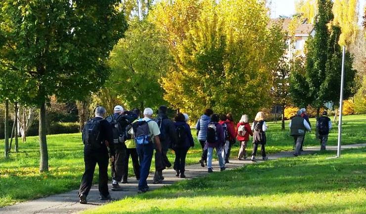 Camminare Insieme seguendo le mappe dei Risvegli 3