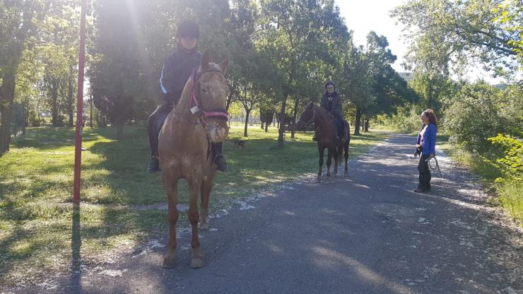 IL SELLA OSO PADDOCK