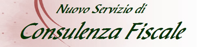 Consulenza fiscale